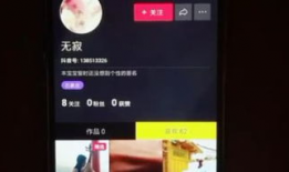 打飞机的视频,揭秘刺激打飞机游戏瞬间